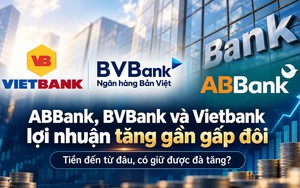 Phía sau tỷ lệ nợ xấu của 3 ngân hàng có lợi nhuận tăng mạnh - Ảnh 5.