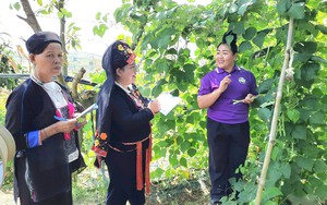 Vĩnh Long: Tạo sinh kế bền vững cho phụ nữ từ cây lục bình - Ảnh 3.