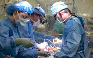 Bỉ lập dấu mốc y học thế giới với ca ghép gan chưa từng có tiền lệ