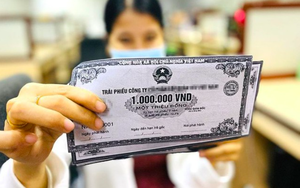 Novaland chuyển đổi trái phiếu thành hơn 20 triệu cổ phiếu để 