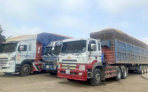 Nghị định 46: Siết quản lý an toàn thực phẩm từ gốc, tháo gỡ vướng mắc từ thực tiễn