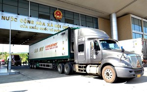 Thủ tướng: Khẩn trương tháo gỡ ngay vướng mắc trong kiểm tra thực phẩm, hàng hóa xuất, nhập khẩu