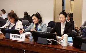 Việt Nam khẳng định nỗ lực vì bình đẳng giới tại diễn đàn Liên hợp quốc