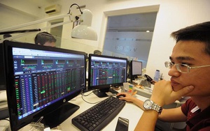 VN-Index rung lắc quanh 1.690 điểm, cổ phiếu nào đồng loạt giảm sâu?