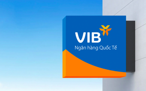 Bức tranh tài chính của VIB ra sao khi dự chi cổ tức 9% tiền mặt?
