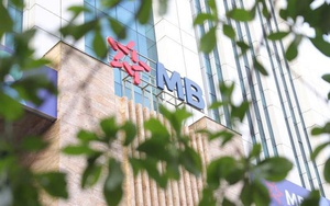 Người nhà CEO MB Bank rót hơn 50 tỷ đồng gom cổ phiếu: Tín hiệu nội bộ hay “đòn gió” thị trường?
