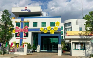 Bà Đặng Thị Thanh Hà từ nhiệm chức Chủ tịch Khu công nghiệp Tín Nghĩa - Ảnh 2.