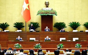 An sinh xã hội trong kỷ nguyên mới: Lấy người dân làm trung tâm chính sách
 - Ảnh 6.
