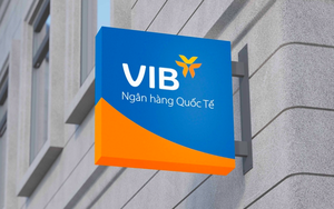 Cổ đông VIB có thêm 9,5% cổ phiếu mà không phải chi tiền - Ảnh 6.