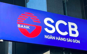 Thủ tướng chỉ đạo đẩy nhanh xử lý tài sản bảo đảm của SCB - Ảnh 2.