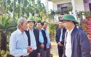Gieo màu xanh từ quyết tâm bỏ thuốc lá