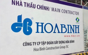 100 đơn vị chậm đóng BHXH trên địa bàn TPHCM, Tập đoàn Xây dựng Hoà Bình đứng đầu bảng - Ảnh 2.