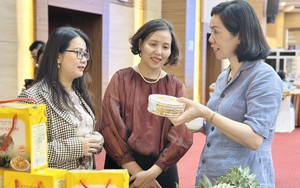Trao sinh kế, tiếp sức phụ nữ khởi nghiệp từ nghề ve chai - Ảnh 6.