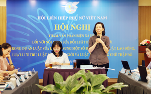 Sửa đổi Luật Bình đẳng giới: Nâng cao hiệu lực, hiệu quả quản lý nhà nước về bình đẳng giới - Ảnh 7.