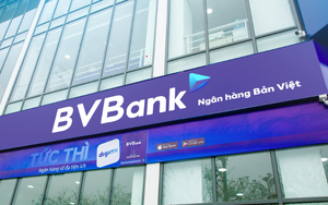 BVBank: Lợi nhuận bứt tốc, còn đó "dấu hỏi" về chất lượng  - Ảnh 3.
