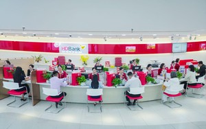 Nhà đầu tư có ảnh hưởng gì khi HDBank tăng 22 nghìn tỷ đồng vốn điều lệ? - Ảnh 7.
