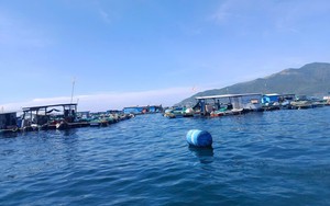 Khánh Hòa: Tạm dừng dịch vụ chèo SUP trên sông Cái sau phản ánh của Báo Phụ nữ Việt Nam- Ảnh 4.