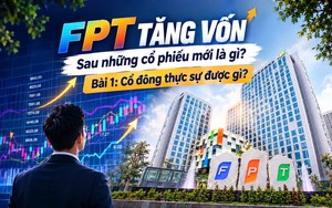 FPT tăng thêm 171 triệu cổ phiếu: Phép thử cho chất lượng tăng trưởng - Ảnh 4.