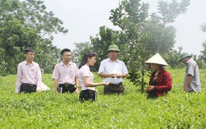 Ngân hàng CSXH tạo đà cho người dân vượt khó, làm giàu từ nguồn vốn chính sách