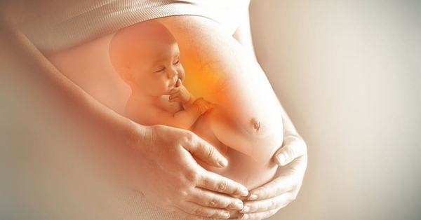 9 tháng trong bụng mẹ, thai nhi sợ điều gì?