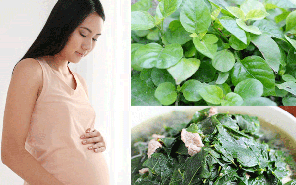 Rau ngót có điều trị được sót nhau thai?