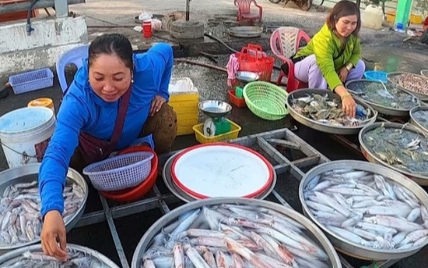 Quy trình mua hải sản từ thị trường ở Phú Quốc và mang về như thế nào?
