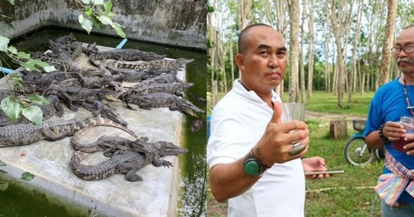 นักธุรกิจไทยจุดประกายความขัดแย้งเรื่องการดื่มเลือดจระเข้เพื่อสุขภาพที่ดีขึ้นทุกวัน » Vietnam Women’s Journal