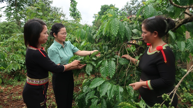 Những đồng tiền nhỏ, những ước mơ lớn của phụ nữ vùng cao Đắk Lắk- Ảnh 2. Những đồng tiền nhỏ, những ước mơ lớn của phụ nữ vùng cao Đắk Lắk- Ảnh 2.