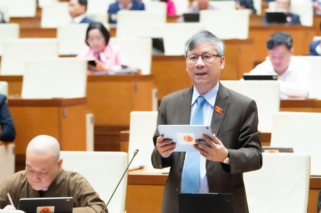 Đại biểu Quốc hội đề nghị đưa chỉ số hạnh phúc vào Quy hoạch tổng thể quốc gia- Ảnh 3.