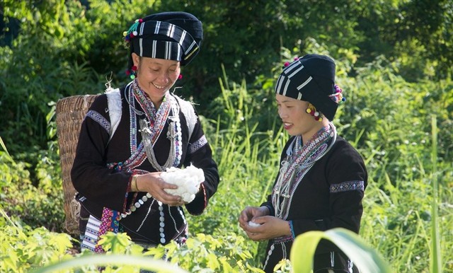 Lai Châu: Đẩy mạnh khôi phục và phát huy di sản văn hóa dân tộc Lự- Ảnh 1.