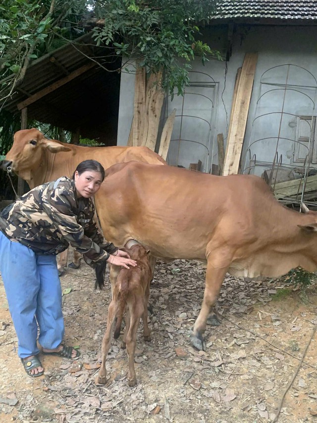 “Bắt sóng” công nghệ để đánh thức du lịch vùng cao Sơn Lâm- Ảnh 1. “Bắt sóng” công nghệ để đánh thức du lịch vùng cao Sơn Lâm- Ảnh 1.