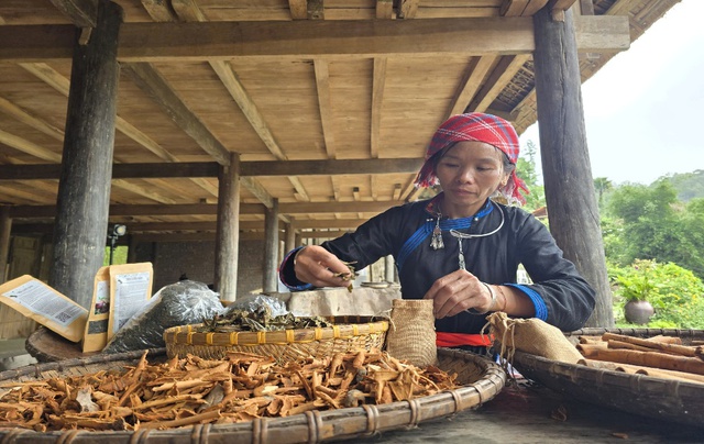 Thu hẹp khoảng cách giới trong tiếp cận tri thức số giúp phụ nữ Lào Cai giảm nghèo bền vững- Ảnh 1. Thu hẹp khoảng cách giới trong tiếp cận tri thức số giúp phụ nữ Lào Cai giảm nghèo bền vững- Ảnh 1.