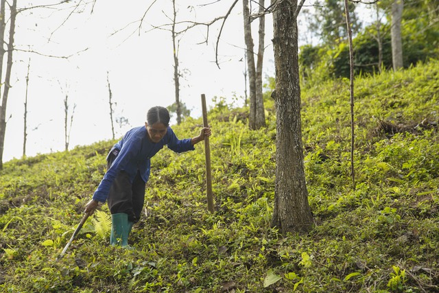 Mạng lưới tuyên truyền viên giúp phụ nữ Nghiên Loan thoát “nghèo thông tin”- Ảnh 3. Mạng lưới tuyên truyền viên giúp phụ nữ Nghiên Loan thoát “nghèo thông tin”- Ảnh 3.