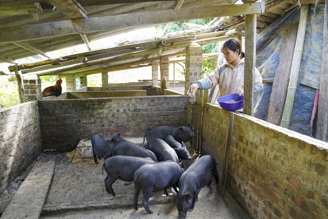 Mạng lưới tuyên truyền viên giúp phụ nữ Nghiên Loan thoát “nghèo thông tin”- Ảnh 4. Mạng lưới tuyên truyền viên giúp phụ nữ Nghiên Loan thoát “nghèo thông tin”- Ảnh 4.