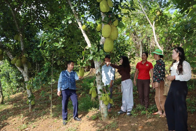 Xác định nhóm thông tin trọng tâm, thiết thực để tuyên truyền, nâng cao nhận thức của phụ nữ- Ảnh 1. Xác định nhóm thông tin trọng tâm, thiết thực để tuyên truyền, nâng cao nhận thức của phụ nữ- Ảnh 1.