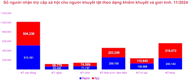 Tháo gỡ rào cản thông tin, tăng khả năng tiếp cận việc làm bền vững của phụ nữ khuyết tật- Ảnh 2.