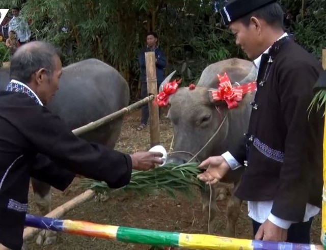 Lễ cúng hồn trâu của người Lự - nghi lễ tri ân và gìn giữ bản sắc- Ảnh 3. Lễ cúng hồn trâu của người Lự - nghi lễ tri ân và gìn giữ bản sắc- Ảnh 3.