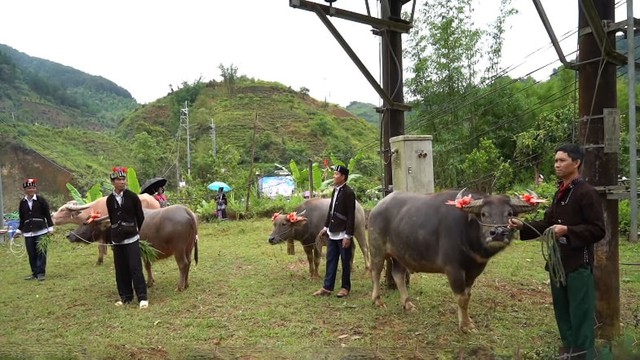Lễ cúng hồn trâu của người Lự - nghi lễ tri ân và gìn giữ bản sắc- Ảnh 2. Lễ cúng hồn trâu của người Lự - nghi lễ tri ân và gìn giữ bản sắc- Ảnh 2.