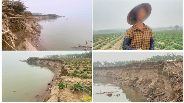 Nghi vấn tàu khai thác cát gây sạt lở nghiêm trọng đất canh tác của người dân- Ảnh 2. Nghi vấn tàu khai thác cát gây sạt lở nghiêm trọng đất canh tác của người dân- Ảnh 2.