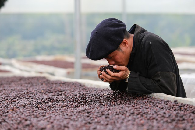 Những người phụ nữ giúp hạt cà phê Sơn La “vượt dốc”- Ảnh 4.