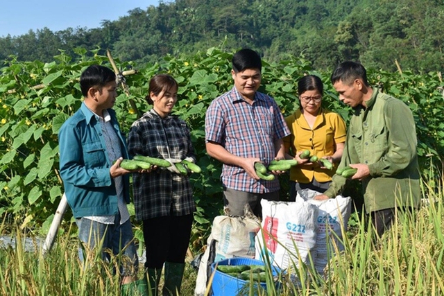 Lồng ghép giới trong tiếp cận dịch vụ khuyến nông và tài chính- Ảnh 1.