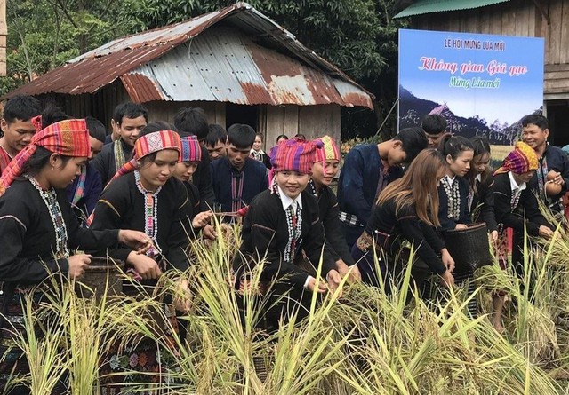 Quảng Trị thực hiện Dự án 8: Nội dung hoạt động phải xuất phát từ nhu cầu của địa phương- Ảnh 3.