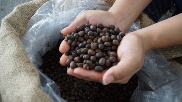 Những người phụ nữ giúp hạt cà phê Sơn La “vượt dốc”- Ảnh 1.