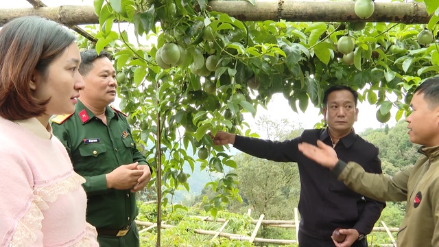 Chuyển đổi số tạo đột phá giảm nghèo đa chiều ở Tuyên Quang- Ảnh 3. Chuyển đổi số tạo đột phá giảm nghèo đa chiều ở Tuyên Quang- Ảnh 3.