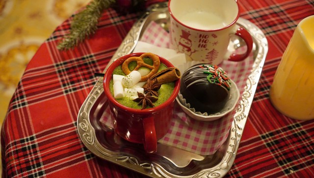 Quán cà phê Hà Nội “hóa trời Âu” hút khách check-in Giáng sinh- Ảnh 4.