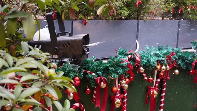 Quán cà phê Hà Nội “hóa trời Âu” hút khách check-in Giáng sinh- Ảnh 3.