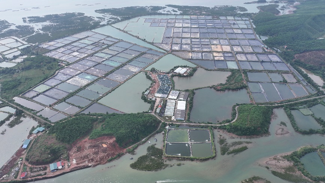 Bim Group khởi công 3 dự án gần 10.500 tỷ đồng tại Quảng Ninh- Ảnh 3.