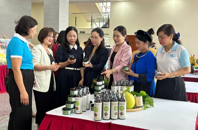 Định hình tầm nhìn Hội LHPN tỉnh Hưng Yên thống nhất, chuyên nghiệp và đổi mới- Ảnh 5.