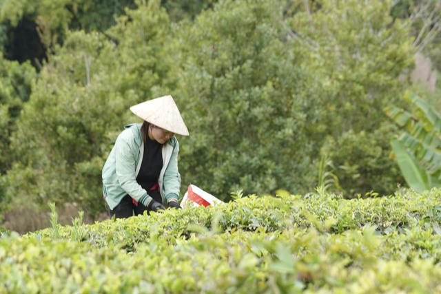 Khơi thông nguồn vốn ưu đãi cho phụ nữ dân tộc thiểu số Khun Há vươn lên- Ảnh 5.