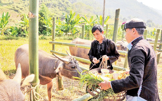 Nỗ lực phục dựng lễ hội, nghi lễ của dân tộc Lự- Ảnh 2.